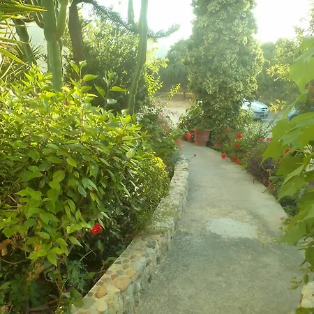 Afentoulis 2