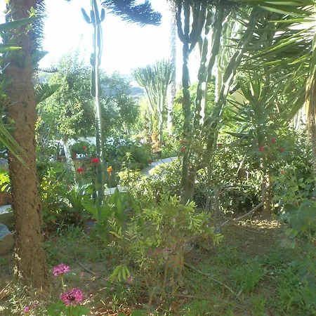 Apartment Afentoulis 2 *
