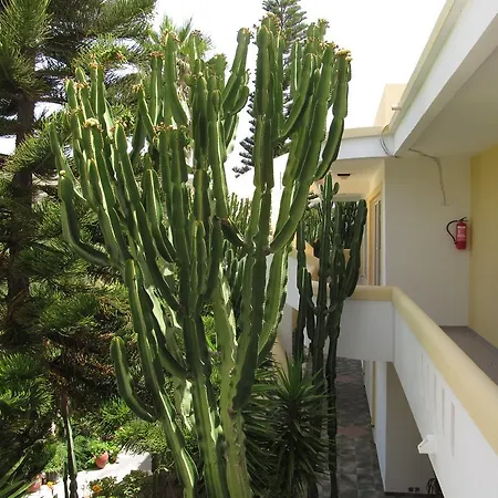 Apartment Afentoulis 2